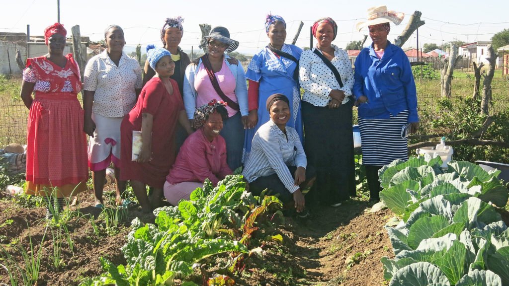 Sie sind stolz auf ihr Gemüse: die Frauen der Gruppe «Thandl Leto» in der südafrikanischen Region Fuleni. | © Colette Kalt, Fastenopfer