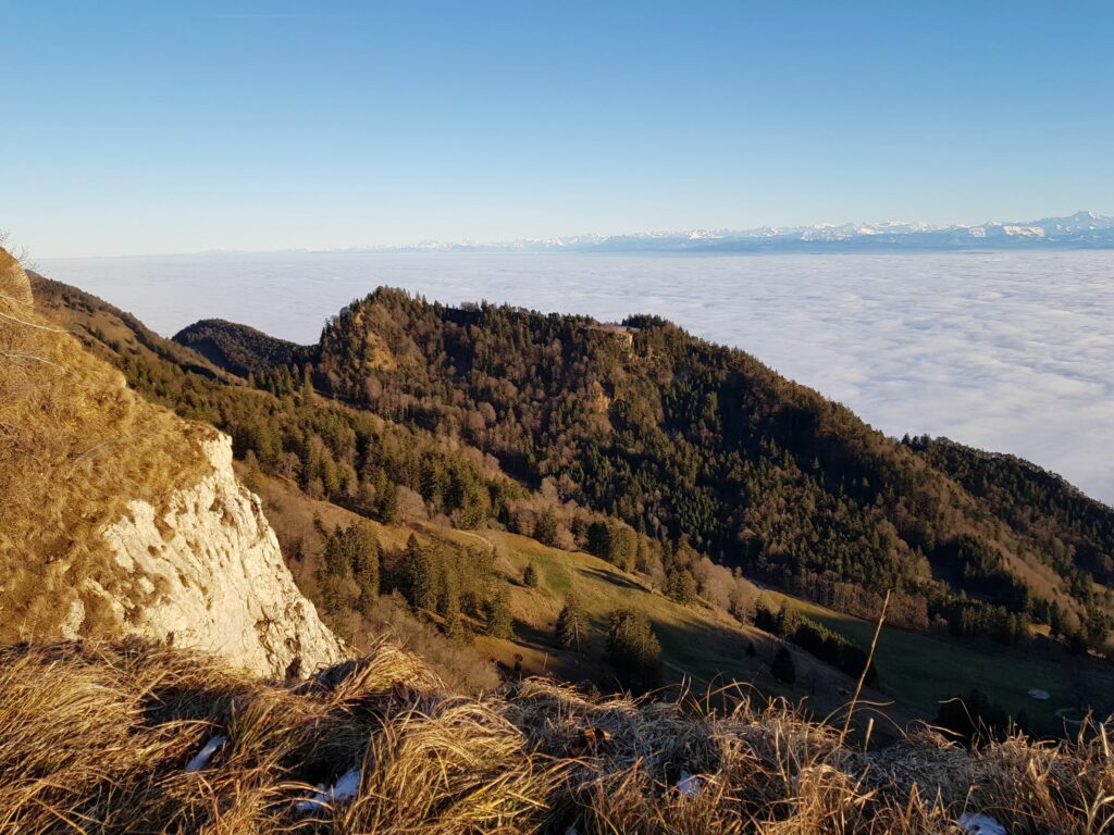 Der Bettlachstock im Solothurner Jura ist von der Unesco als neues Weltnaturerbe anerkannt worden. Das Waldgebiet an der Südflanke der Weissensteinkette zwischen Grenchen und Solothurn ist Heimstatt für teilweise bis 200 Jahre alte Bäume. Zwei Bäche haben hier über Jahrtausende durch Erosion einen «Inselberg» geschaffen, auf dem sich eine artenreiche Flora und Fauna entwickeln konnte. Auf einer Fläche von fast 200 Hektaren besteht seit 36 Jahren ein dauerhafter, kompletter Nutzungsverzicht. Gleichzeitig hat die Unesco die alten Buchenwälder im Valle di Lodano im Kanton Tessin ins Weltnaturerbe aufgenommen. | © www.so.ch