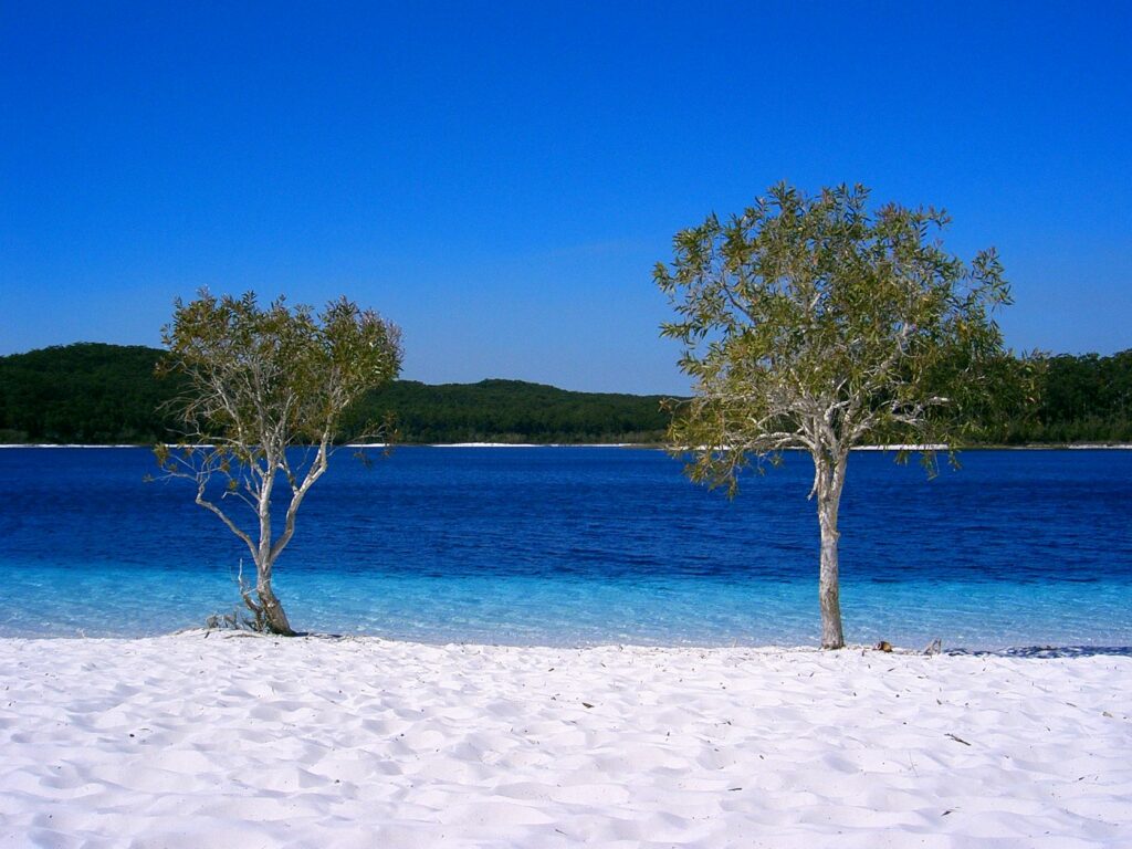 Die vor der australischen Nordostküste gelegene Fraser Island ist eine der ungewöhnlichsten Inseln. Sie besteht fast vollständig aus Sand, der sich, herantransportiert durch Wind und Meeresströmungen, zu Dünen angehäuft hat. In der Sprache der Aborigines heisst das Eiland K’gari, was Paradies bedeutet. Das hat möglicherweise mit dem guten Nahrungs- und Wasserangebot zu tun. Auf der grössten Sandinsel der Welt gibt es zahlreiche Süsswasserseen wie etwa der Lake McKenzie (unser Bild) mit kristallklarem Wasser. | © Sensenmann/wikimedia