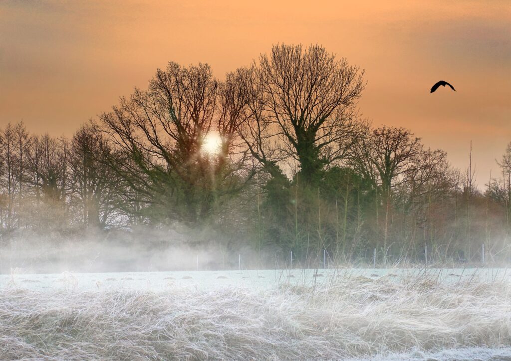 Unscheinbar sind die Momente des Friedens: Ein Blick in den Himmel, wo ein Vogel zieht … | © Heinrich Lins/pixelio.de
