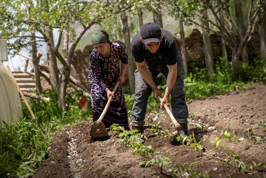 Inobat Sadirova und ihr Ehemann beim Gärtnern. | © Reto Albertalli/Caritas Schweiz