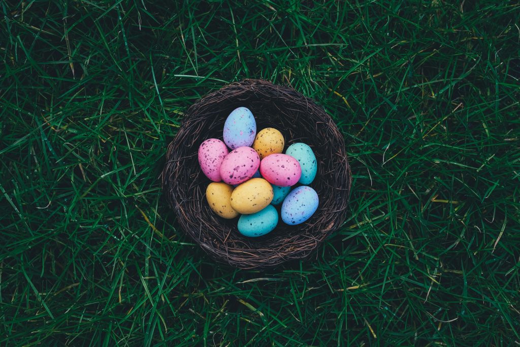 Es gibt verschiedene Theorien, warum Eier zu Ostern eingefärbt werden. | © Annie Spratt/Unsplash