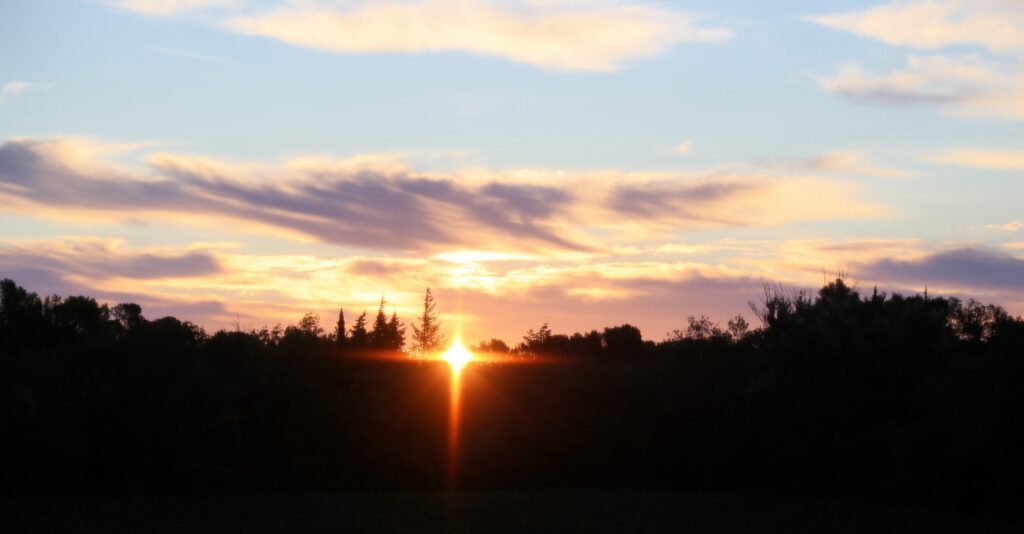 Die, die sich vom Heilige Geist berühren lassen, reden zu den Menschen von der Liebe, nicht als eine abstrakte, dogmatische Wahrheit, sondern als eine befreiende Wirklichkeit. | © Felix Terrier